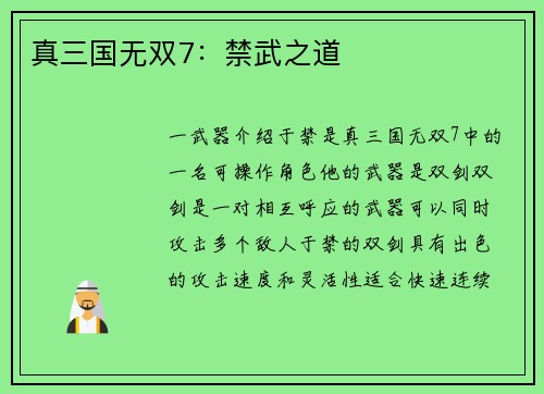 真三国无双7：禁武之道